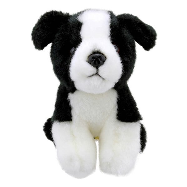 Wilberry Border Collie - Wilberry Minis