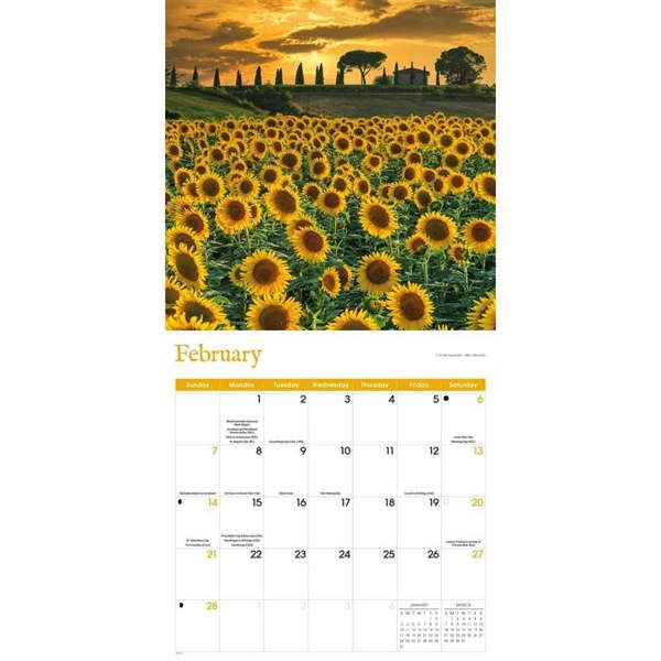 Sunflowers Calendar 2027, Wall Calendars, Month To View, Lifestyle, Gift
