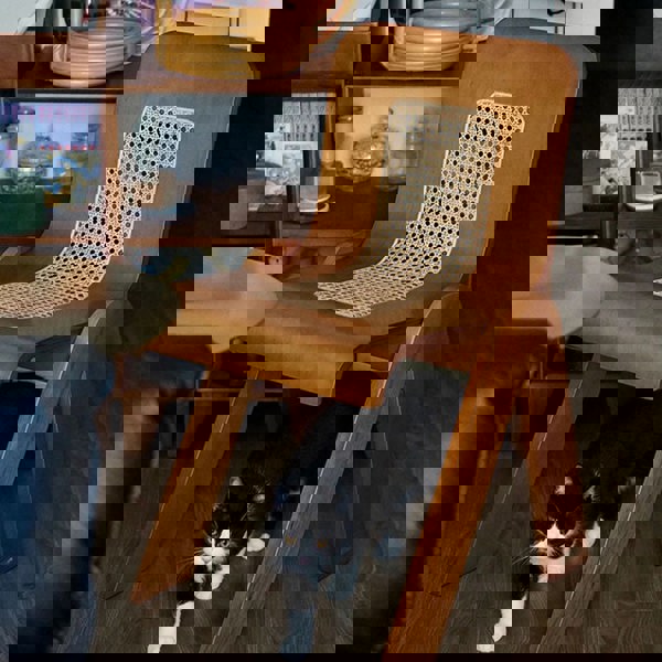 Nita Curved Rattan Dining Chair, Rubber Wood-Rit Concept-Rit Concept