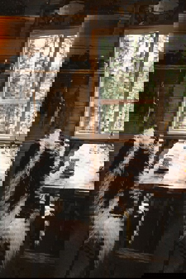 Icelandic Sheepskin | Long Wool | 120+ cm