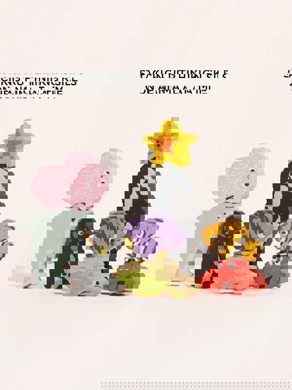 TOYS6024_MULTICOLOURED_4