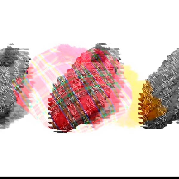 Bristol Novelty Unisex Adults Scots Tartan Hat And Hair - Multicoloured