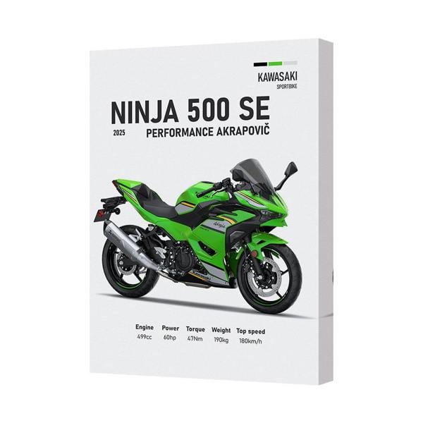 Benjamin Tate Design Kawasaki Ninja 500 SE Canvas Wall Art Print Motorcycle Decor