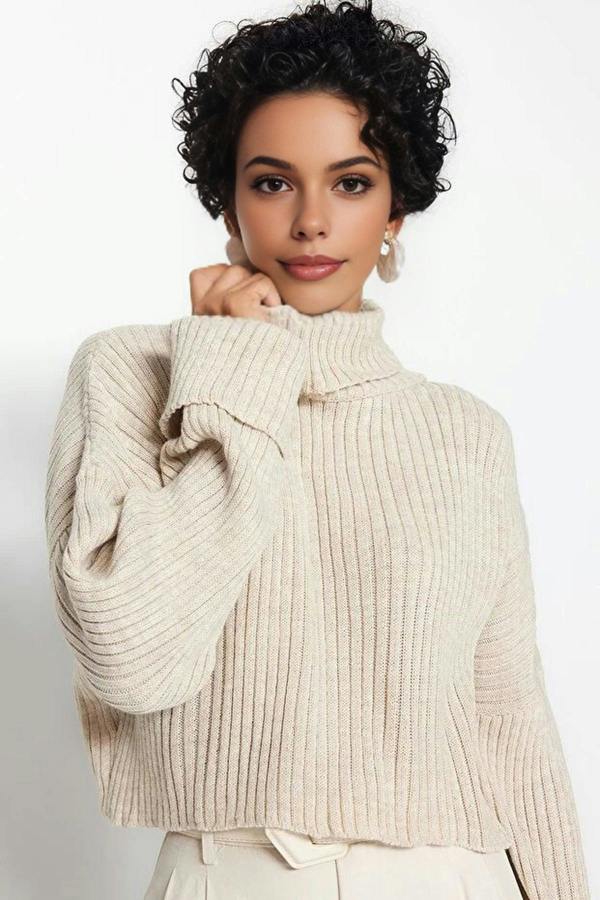 WOVCOR Crop Basic Knit Sweater