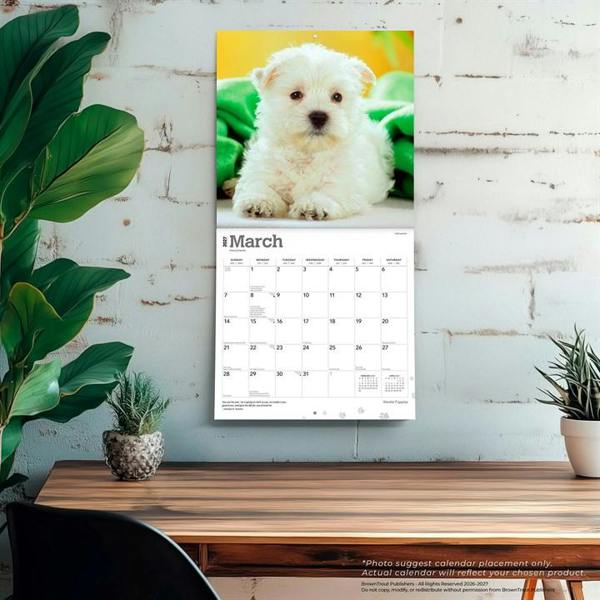 Westie Puppies Calendar 2027, Wall Calendars, Month To View, Dogs, Gift