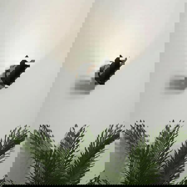 Black indoor wall uplighter on a pale grey wall above a fern plant