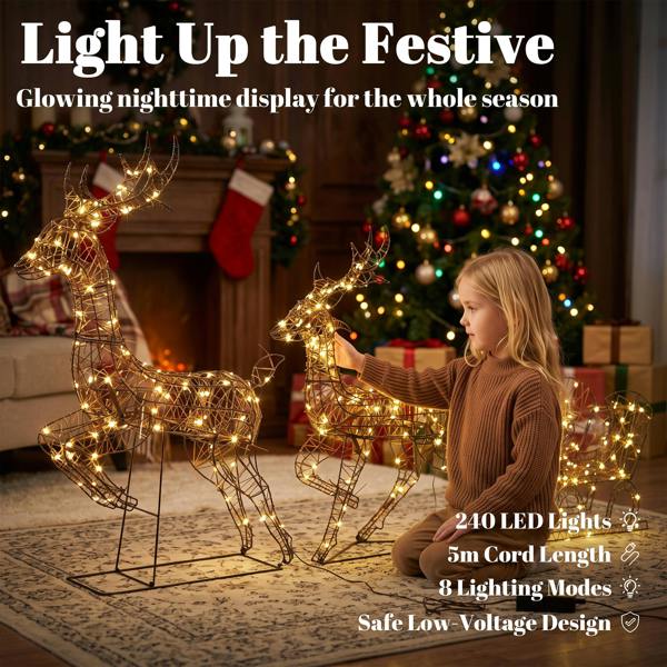 Lighted Christmas Decoration