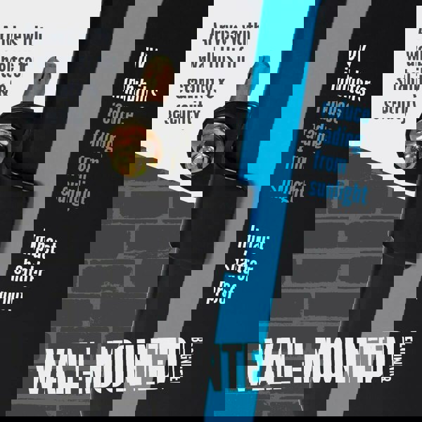 NET1 Basketball Backboard & Hoop