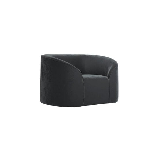 Wyld Haus Carlow Black Velvet Armchair