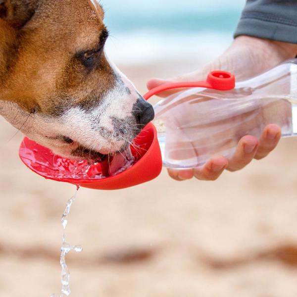 EzyDog Leaf Dog Water Bottle