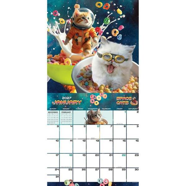 Space Cats Calendar 2027, Wall Calendars, Month To View, Humour, Gift