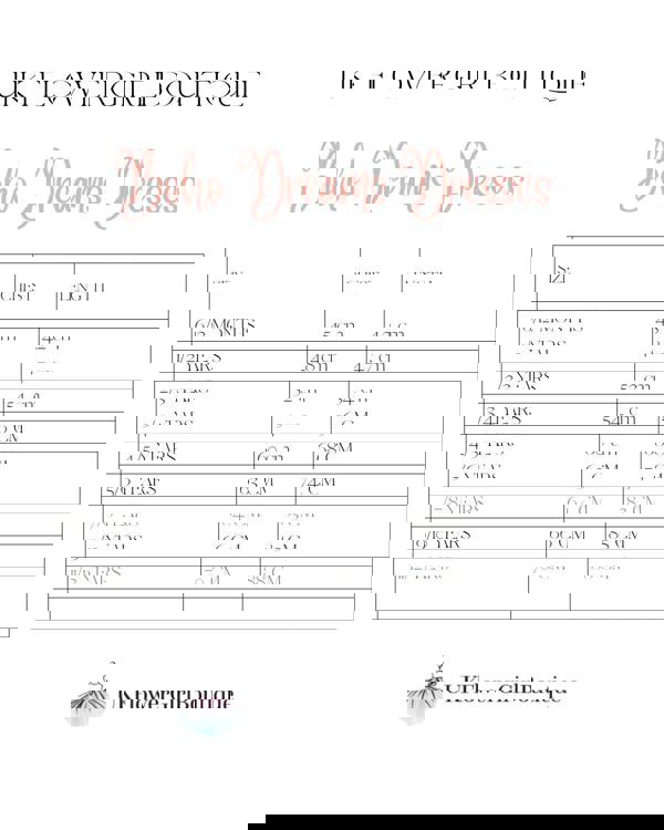 UK Flower Girl Boutique Boho Dreams Dress - Blush Appliqué