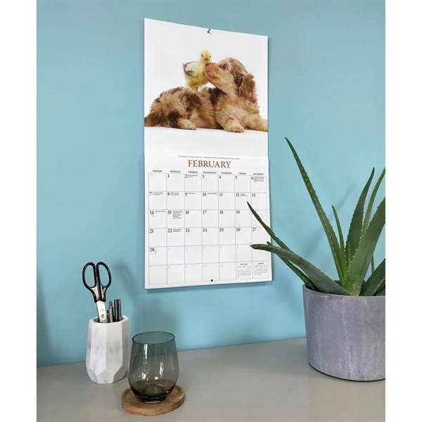 Puppies & Friends Calendar 2027, Wall Calendars, Month To View, Dogs, Gift