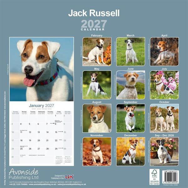 Jack Russell Calendar 2027, Wall Calendars, Month To View, Dogs, Gift
