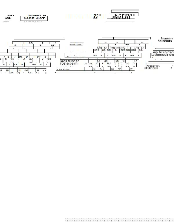 Paulo Due Women's Flared Skater Skirt Sequin Chiffon Dress