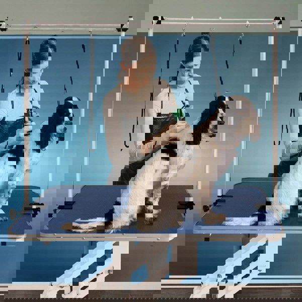 Monstershop White Hydraulic Grooming Table - Blue Table Top