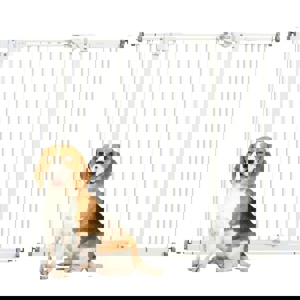 D06-096V04WT