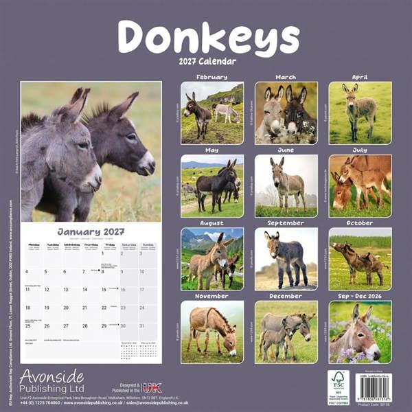 Donkeys Calendar 2027, Wall Calendars, Month To View, Animals, Gift
