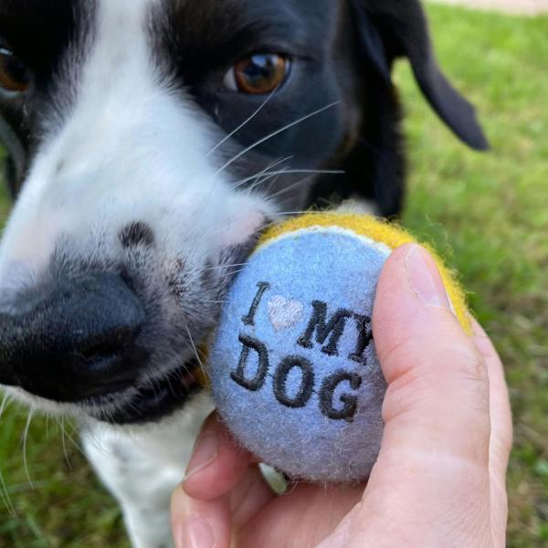 Abode Home & Gifts Set Of Two Personalised Name Dog Balls