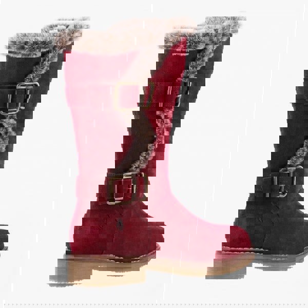 1647521145-93106200.jpg