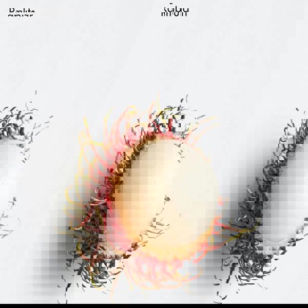 La Biosthetique Revitalising Hydro Cream 50 ml