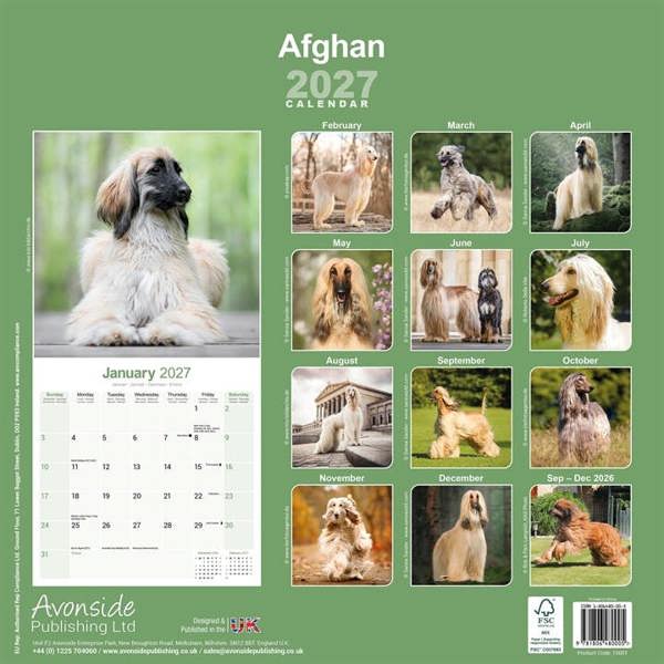 Afghan Calendar 2027, Wall Calendars, Month To View, Dogs, Gift