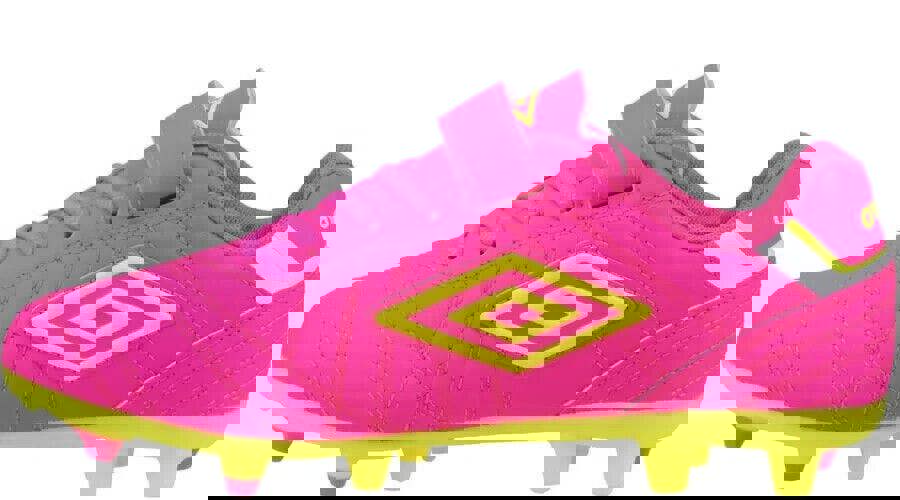 c193a248a154449f71c4f8698afcdbc8