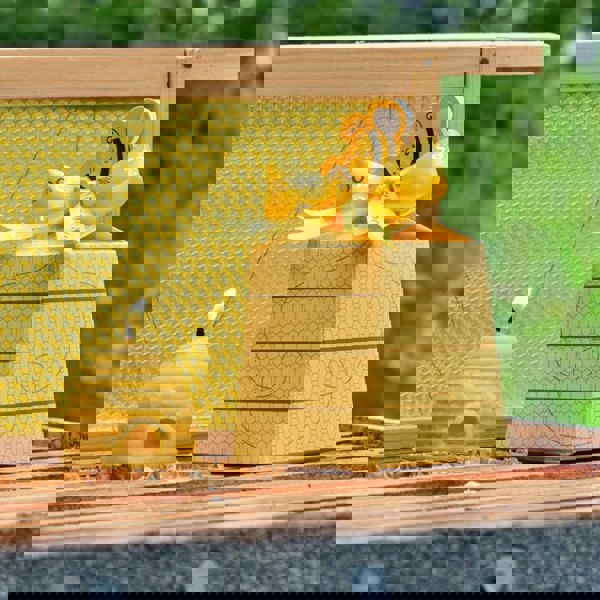 Beeswax Beehive Candle Closeup