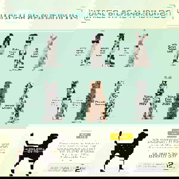 D04-064V02BK