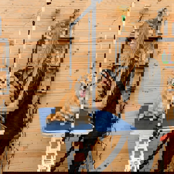 Monstershop White Hydraulic Grooming Table - Blue Table Top