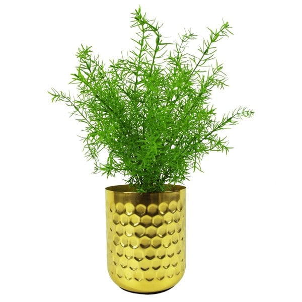 Leaf 45cm Artificial Asparagus Fern Plant