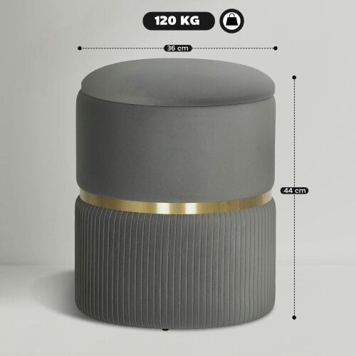 Wyld Haus Vami Velvet Grey Storage Ottoman With Soft Upholstered Finish Gold Accent