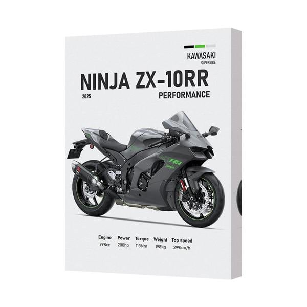 Benjamin Tate Design Ninja ZX10RR Motorcycle Canvas Art Print With Deep Wooden Frame
