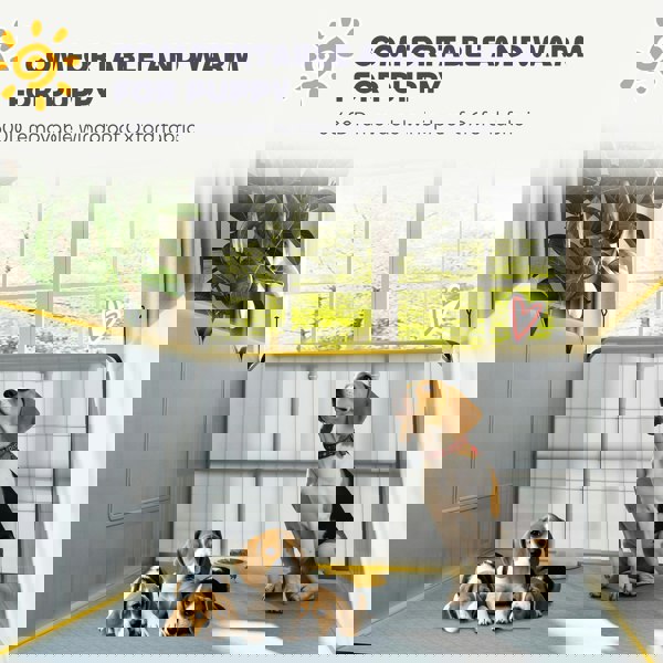 D06-247V00BK