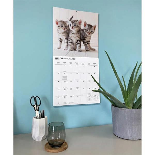 Cute Kittens Calendar 2027, Wall Calendars, Month To View, Cats, Gift