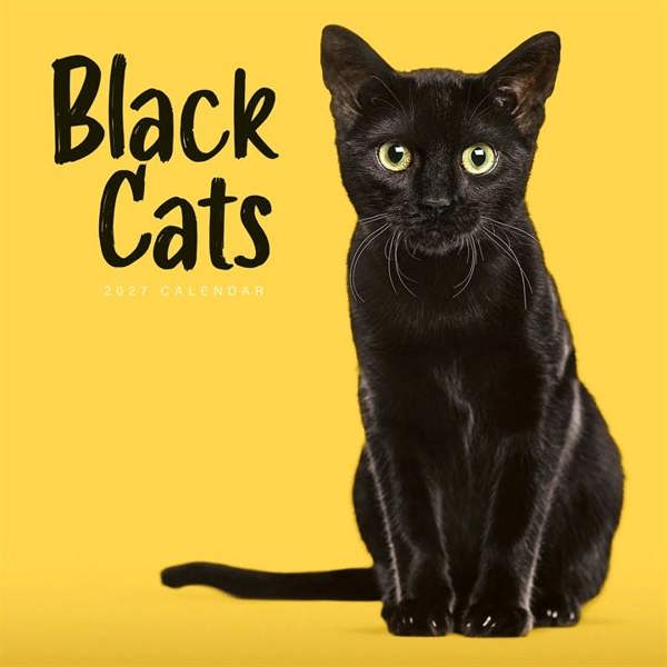 Black Cats Calendar 2027, Wall Calendars, Month To View, Cats, Gift