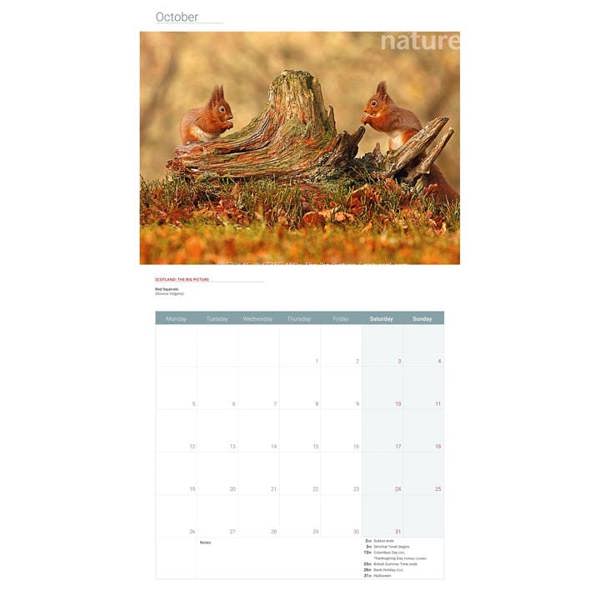British Wildlife Photography Calendar 2027, Wall Calendars, Month To View, Animals, Gift