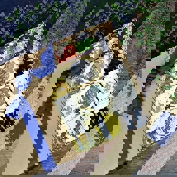 Luxury Wine and Cheese Hamper