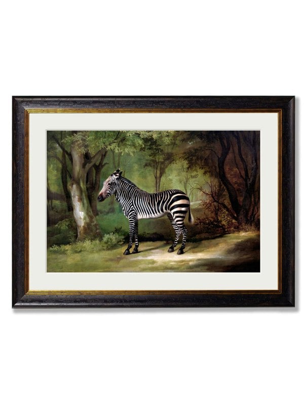 Exceptional Art c.1763 George Stubb's Zebra
