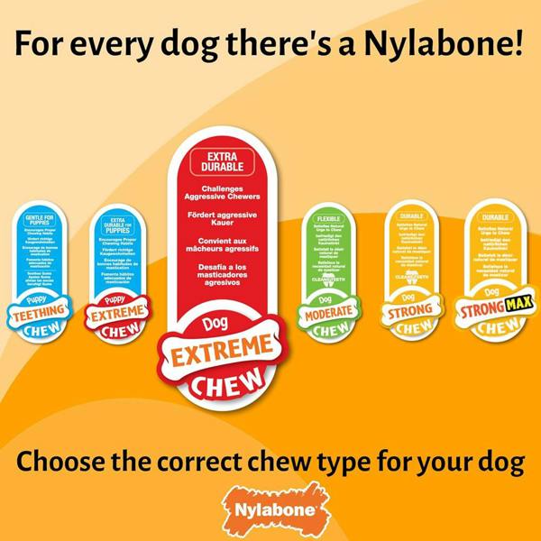 Nylabone Broccoli Dental Chew Dog Toy Large for Extreme Chewers Up To 23kg