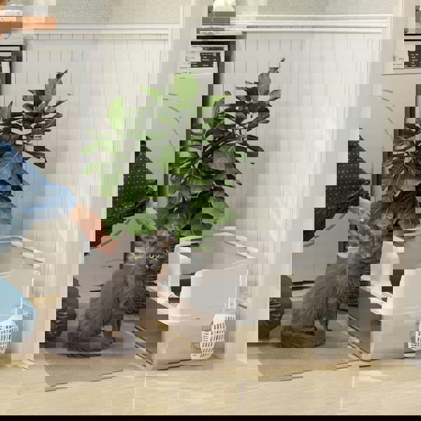 D31-130V00LG