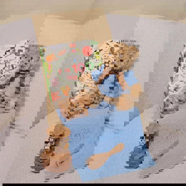 The Baby Gifting Company ULTIMATE CAROUSEL GIFT SET