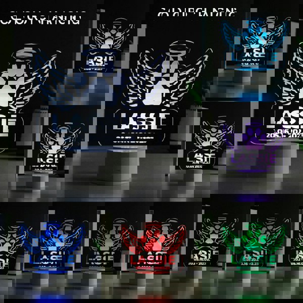 Personalised Memento Company Personalised Pet Memorial Colour Changing LED Light