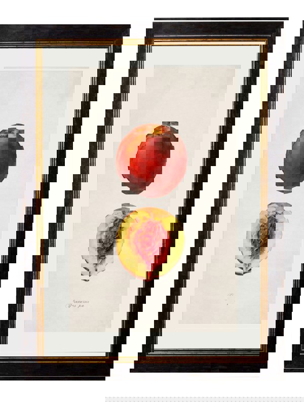 Exceptional Art c.1886 Studies of Fruit