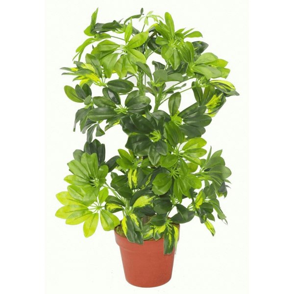 Leaf 75cm Artificial Arboricola Gold Capella Plant - Copper Metal Planter