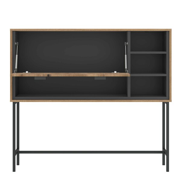 Wyld Haus Nightbloom Grey and Oak Effect Wood Panelled Bar Cabinet 1 Door 3 Shelves