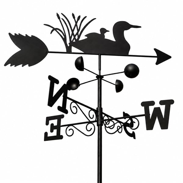 Swimming Ducks Weathervane, All-Steel Black Painted Weather Vane With Wall Fixings and 1.7m Ground Spike, Wind Speed Cups