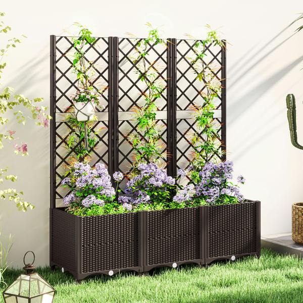 Garden Bed