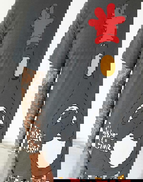 Wallace And Gromit Mens Multicoloured Feathers Short Sleeve Long Leg Pyjama Set