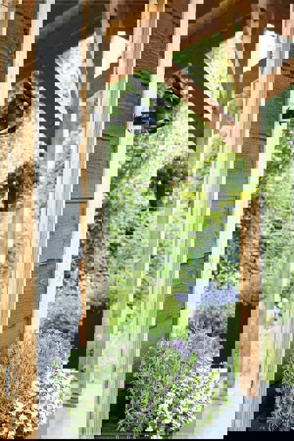 Luxform Lupus Intelligent Solar Led Spotlight 50 Lumen